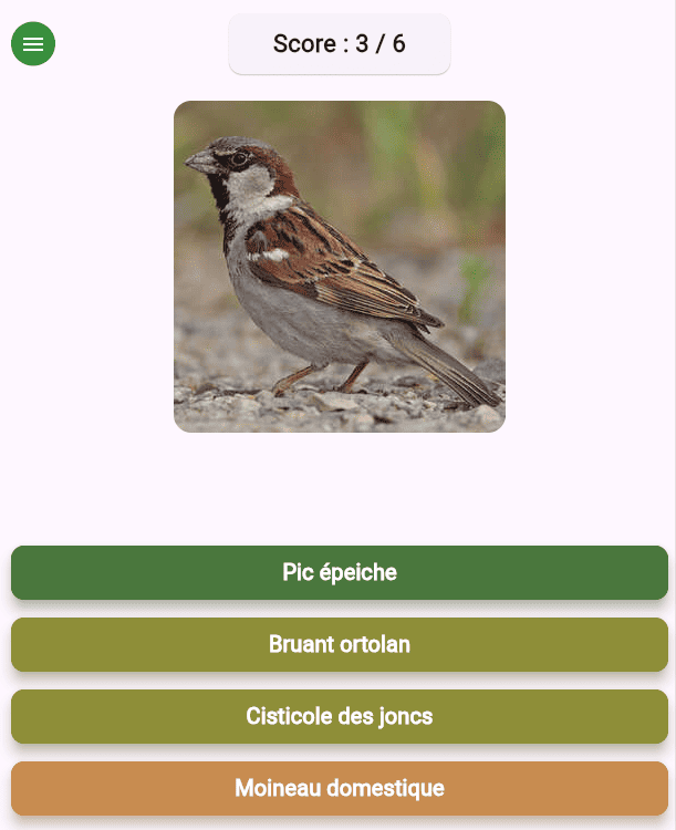 Quiz sur les oiseaux